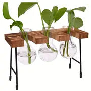 Add a Touch of Nature to Your Desk: 1pc Plant Terrarium With Wooden Stand
