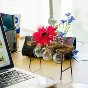 Add a Touch of Nature to Your Desk: 1pc Plant Terrarium With Wooden Stand