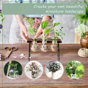 Add a Touch of Nature to Your Desk: 1pc Plant Terrarium With Wooden Stand