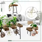 Add a Touch of Nature to Your Desk: 1pc Plant Terrarium With Wooden Stand