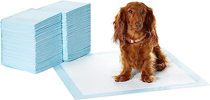 Dog and puppy urine pads, leak-proof and quick-drying design, suitable for toilet training, standard water absorption, regular size, 22 x 22 inches, 100 pieces, blue and white