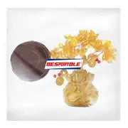 Money Tree Chinese Feng Shui Golden Fortune Tree Feng Shui Tree Bonsai Style Decoration For Luck And Wealth Feng Shui