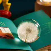 1pc Dandelion Crystal Glass Ball, Resin Lens Natural Plants Specimen Flowers Crystal Ball ,Christmas Love Gift Home Decor Craft Ball, Paperweight Desktop Decor Decoration,Christmas Decor