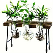 Add a Touch of Nature to Your Desk: 1pc Plant Terrarium With Wooden Stand