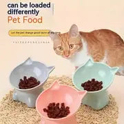 Protect Your Kitten's Neck With A Raised Plastic Food Bowl