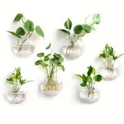 2pcs Wall Hanging Glass Terrariums Planter Oblate Flower Vase For Hydroponics Plants Gift, Home Office Living Room Decor