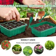 5pcs, Seed Starter Tray With Grow Light, 5 Packs Plant Starter Tray Seedling Starter Kit With Humidity Domes Base Indoor Greenhouse Mini Propagator Station For Seeds Growing Starting (12 Cells Per Tray)