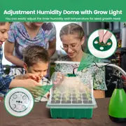 5pcs, Seed Starter Tray With Grow Light, 5 Packs Plant Starter Tray Seedling Starter Kit With Humidity Domes Base Indoor Greenhouse Mini Propagator Station For Seeds Growing Starting (12 Cells Per Tray)