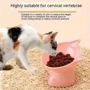 Protect Your Kitten's Neck With A Raised Plastic Food Bowl