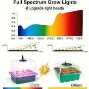 4 Packs, Grow Your Own Plants With This Complete Seed Starting Kit Includes 4/5/6 Pack Seedling Starter Trays, Full Spectrum Grow Light, Time Controller, Humidity Dome, And Dishwasher Safe Trays