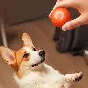 1pc Automatic Rolling Ball Toy Durable Dog Chew Ball Toy Pet Grinding Teeth Toy Gravity Jumping Ball Toy For Dog Interactive Supplies