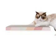 Bite-Resistant Cat Scratching Mat - Durable Interactive Toy and Scratcher Pad for Cats