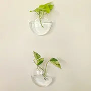 2pcs Wall Hanging Glass Terrariums Planter Oblate Flower Vase For Hydroponics Plants Gift, Home Office Living Room Decor
